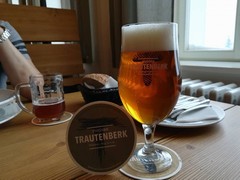 Pivo