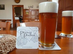 Pivo