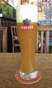 Pivo