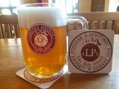 Pivo