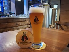 Pivo