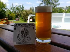 Pivo