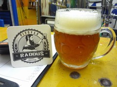 Pivo