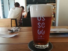 Pivo