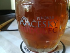 Pivo