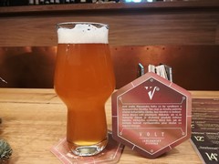 Pivo