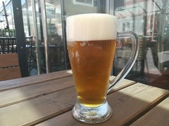 Pivo