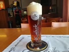 Pivo