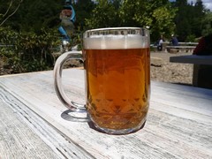 Pivo