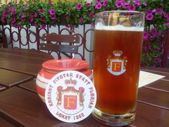 Pivo