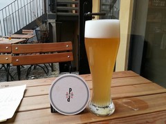Pivo