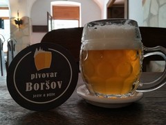 Pivo