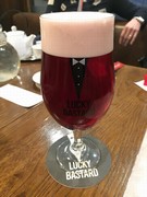Pivo