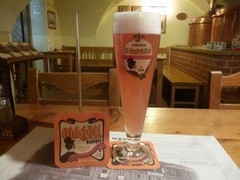 Pivo