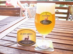 Pivo