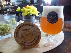 Pivo