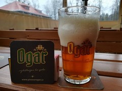 Pivo