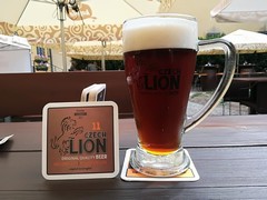 Pivo