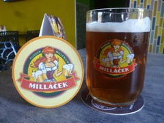 Pivo