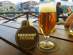 Pivo