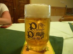 Pivo