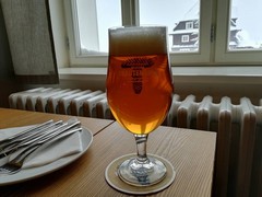 Pivo