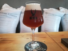 Pivo