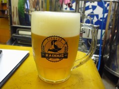 Pivo