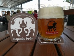 Pivo