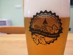 Pivo