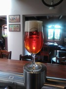 Pivo