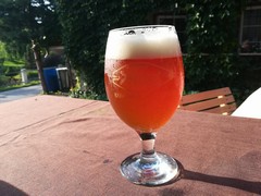 Pivo
