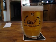 Pivo