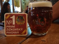 Pivo