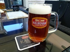 Pivo