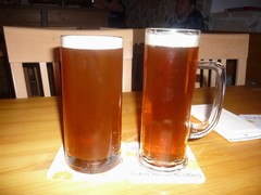 Pivo