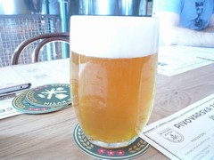 Pivo