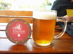 Pivo
