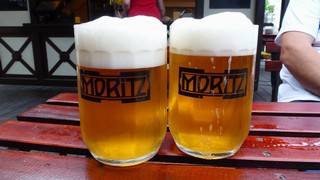 Pivo