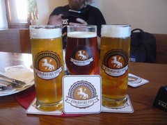 Pivo