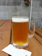 Klikni pro zvětšení Pivo