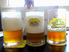 Klikni pro zvětšení Pivo