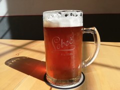Klikni pro zvětšení Pivo