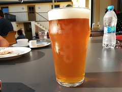Klikni pro zvětšení Pivo