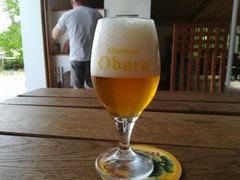 Klikni pro zvětšení Pivo