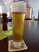 Klikni pro zvětšení Pivo