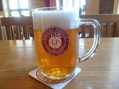 Pivo