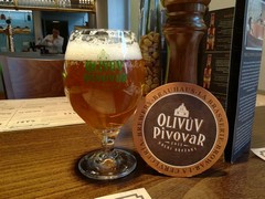 Pivo