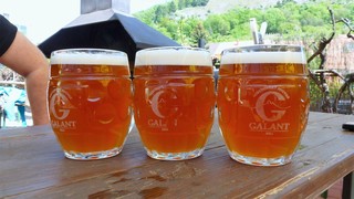 Pivo