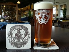 Pivo